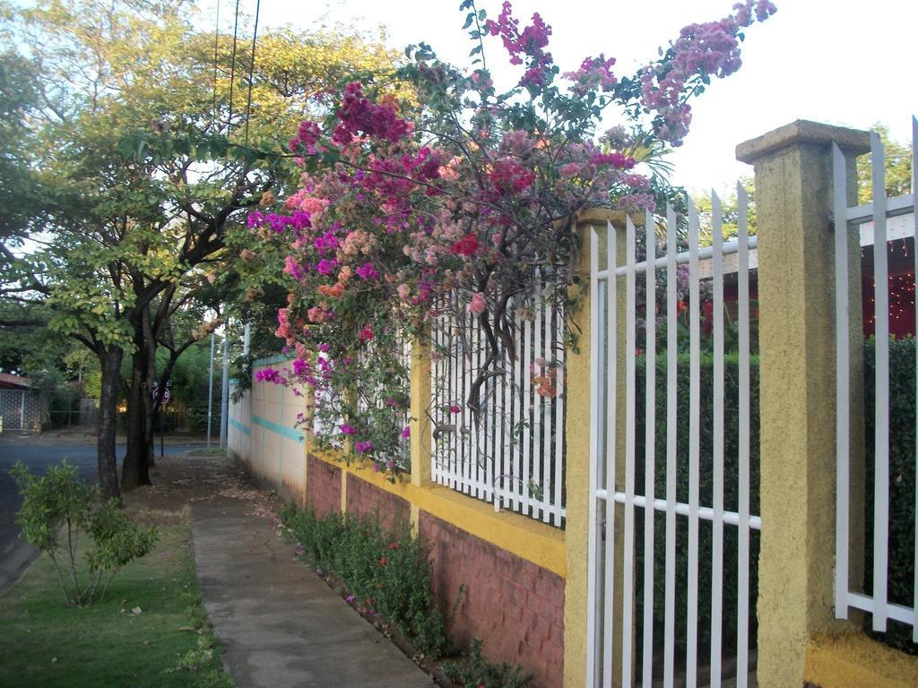 Hostal Casa Los Espinoza Managua Eksteriør billede